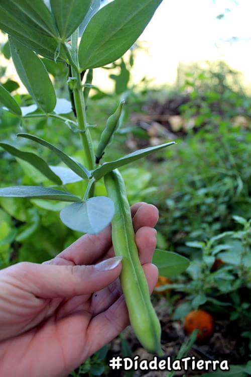 Presentacin del III Plan Andaluz de Produccin Ecolgica 